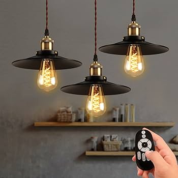 ペンダントライト ライト シーリングライト 引っ掛け 吊り下げ 丸 照明 3個 kagu350_g37323